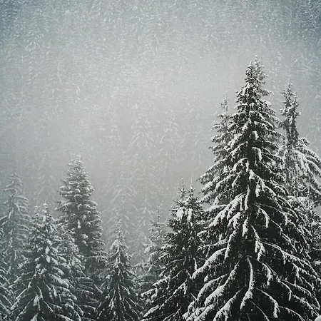 Golf Bad Kleinkirchheim