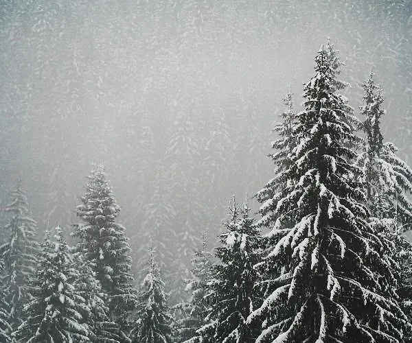 Golf Bad Kleinkirchheim